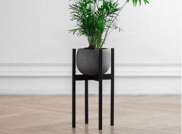 Цветочница Oxalis 40