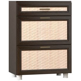 Обувница Эльза