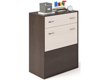 Тумба Банга-5 венге / дуб молочный