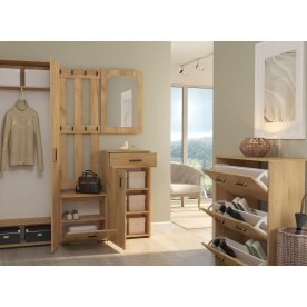 Обувница Агата АТ-1