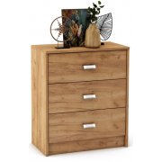 дуб золотистый