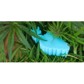 Матрас Sativa XL