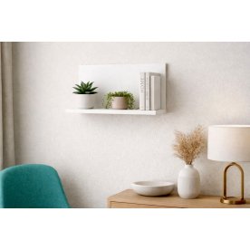 Полка Эмилия ЭЛ-9