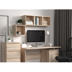 Полка Рунтроп Т-1