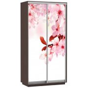 сакура / венге