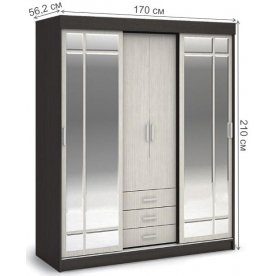 Шкаф-купе Лидер 1К