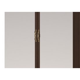 Шкаф двухдверный для одежды Ирис 10 дуб тортона с зеркалом