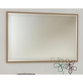 Зеркало D4109