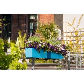 Кашпо Lechuza 15672 BALCONERA Color 50 фисташковый