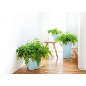 Кашпо Lechuza 16027 CLASSICO LS 21