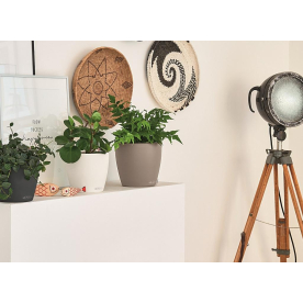 Кашпо Классико Колор 18 13264