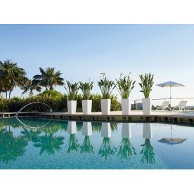 Кашпо Lechuza 13150 CUBICO Color 40