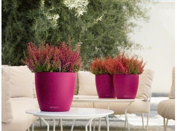 Кашпо Lechuza 13183 CLASSICO Color 21