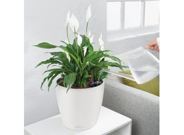 Кашпо Lechuza 13183 CLASSICO Color 21