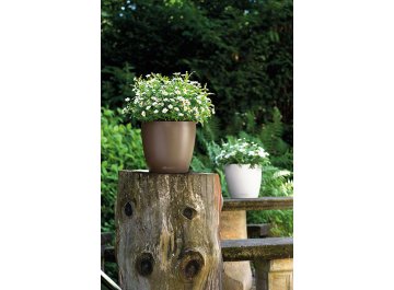 Кашпо Lechuza 13204 CLASSICO Color 28