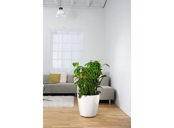 Кашпо Lechuza 13244 CLASSICO Color 43