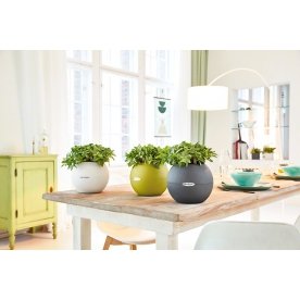 Кашпо Lechuza 13362 LECHUZA-PURO Color 20