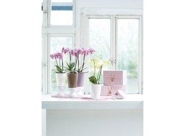 Кашпо Lechuza 14950 MINI-DELTINI