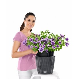 Кашпо Lechuza 15193 NIDO Cottage