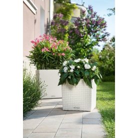 Кашпо Lechuza 15376 CUBE Cottage 30