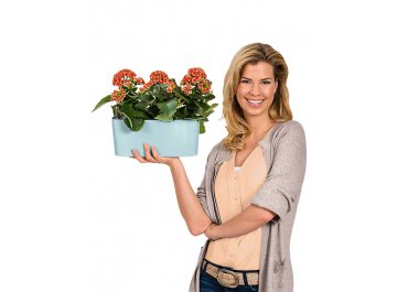 Кашпо Lechuza 15460 DELTA 10