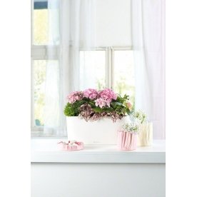 Кашпо Lechuza 15560 DELTA 20