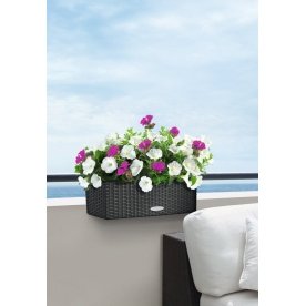 Кашпо Lechuza 15602 BALCONERA Cottage 50