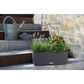 Кашпо Lechuza 15605 BALCONERA Cottage 50