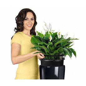 Кашпо Lechuza 15780 RONDO 32