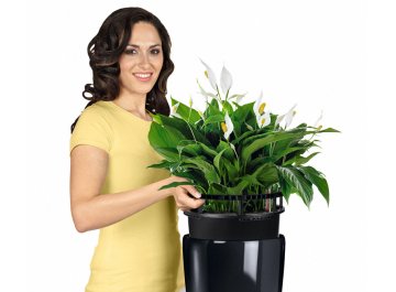 Кашпо Lechuza 15780 RONDO 32