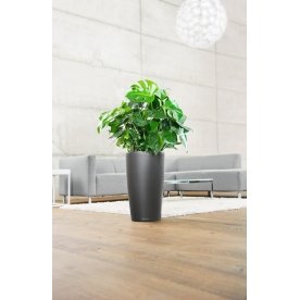 Кашпо Lechuza 15789 RONDO 32