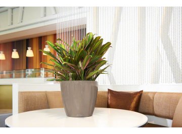 Кашпо Lechuza 16069 CLASSICO LS 35