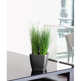 Кашпо Lechuza 16129 QUADRO LS 21