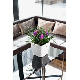 Кашпо Lechuza 16143 QUADRO LS 28