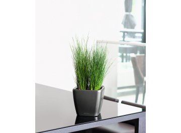 Кашпо Lechuza 16145 QUADRO LS 28