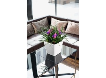 Кашпо Lechuza 16169 QUADRO LS 35