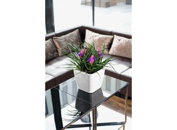 Кашпо Lechuza 16287 QUADRO LS 50