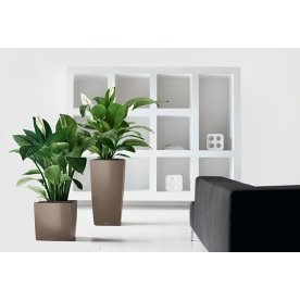 Кашпо Lechuza 16365 CUBE 40