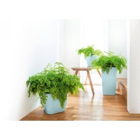 Кашпо Lechuza 18460 CUBICO 22