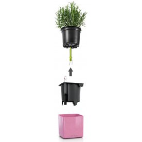 Кашпо Кьюб Глосси Кисс 14