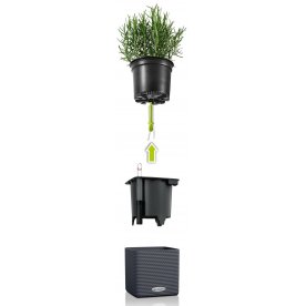 Кашпо Кьюб Колор 16