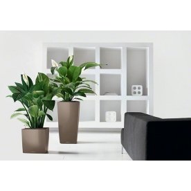 Кашпо Lechuza 16465 CUBE 30