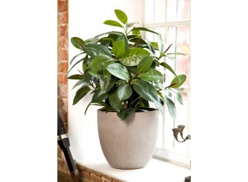 Кашпо Лотус Круглое D26.5 H24.5 MESHR26-T