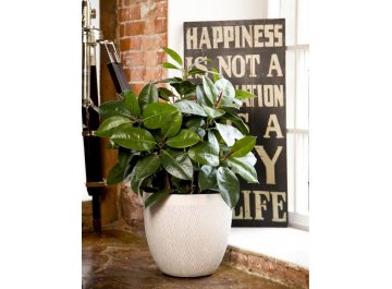 Кашпо Лотус Круглое D37 H33.5 MESHR37-AW