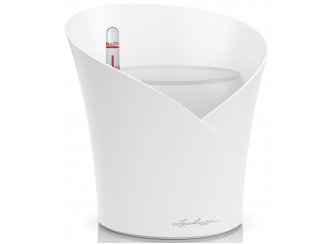 Кашпо Орхидея