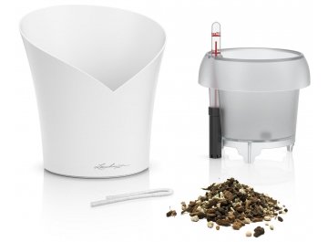 Кашпо Орхидея