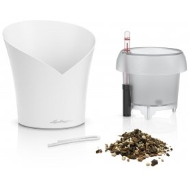 Кашпо Орхидея