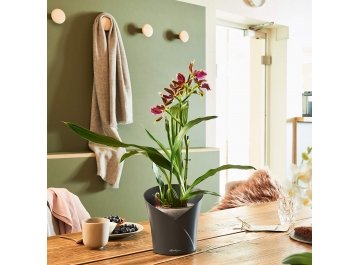 Кашпо Орхидея