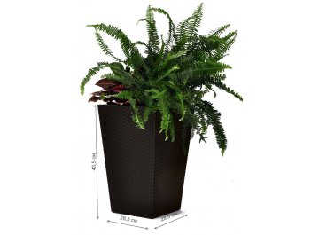 Кашпо Рошель