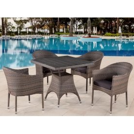 Обеденный комплект T220BG Y350BG-W1289